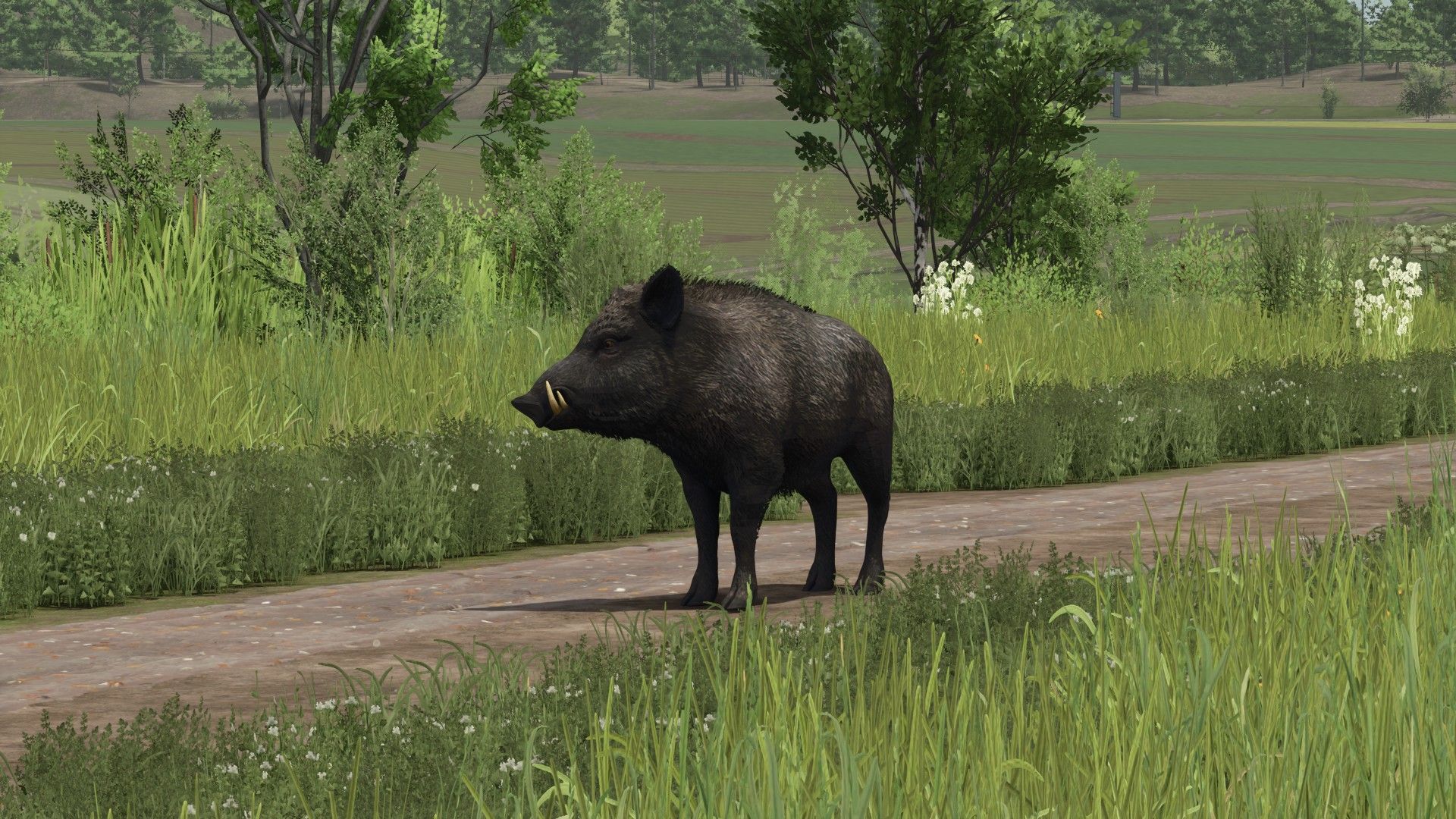 Image du mod