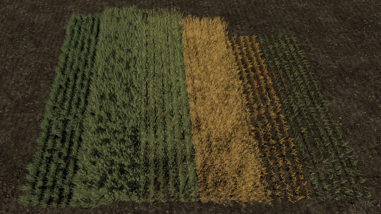 Image du mod