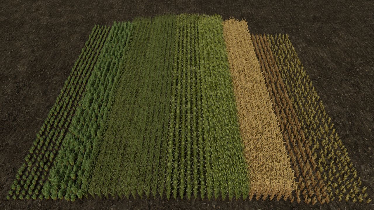 Image du mod