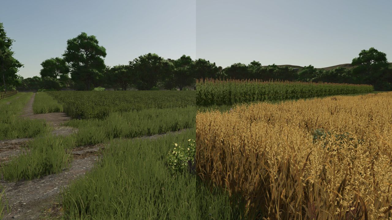 Image du mod