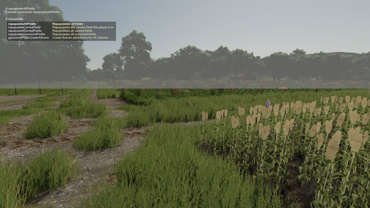 Image du mod