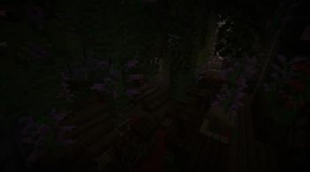 Image du mod