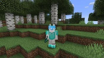 Image du mod