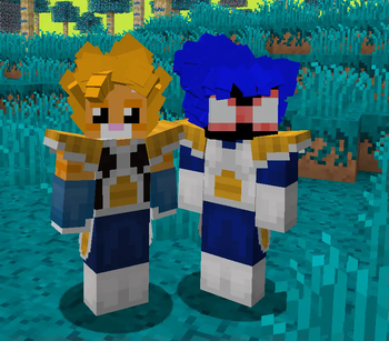 Image du mod