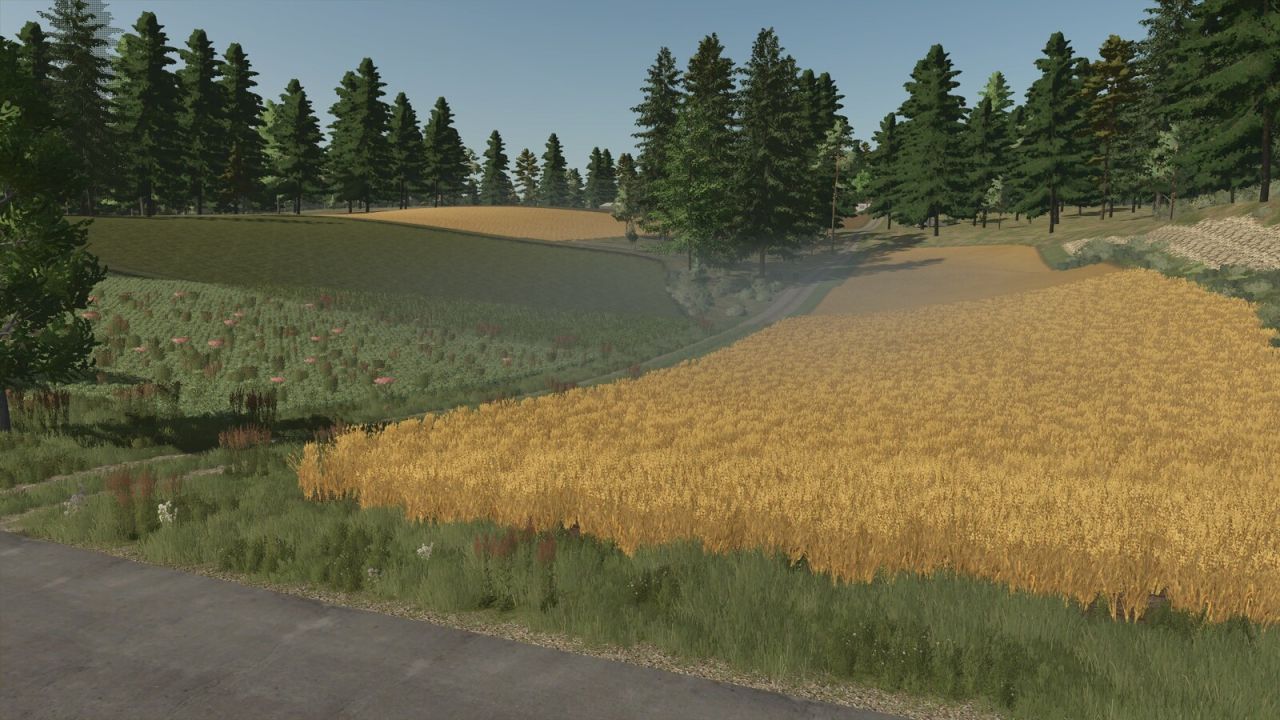 Image du mod
