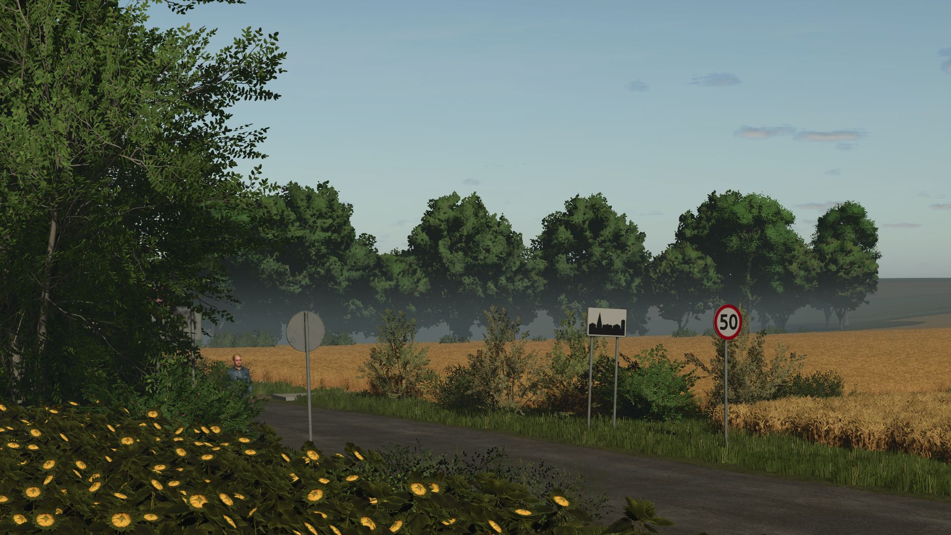 Image du mod