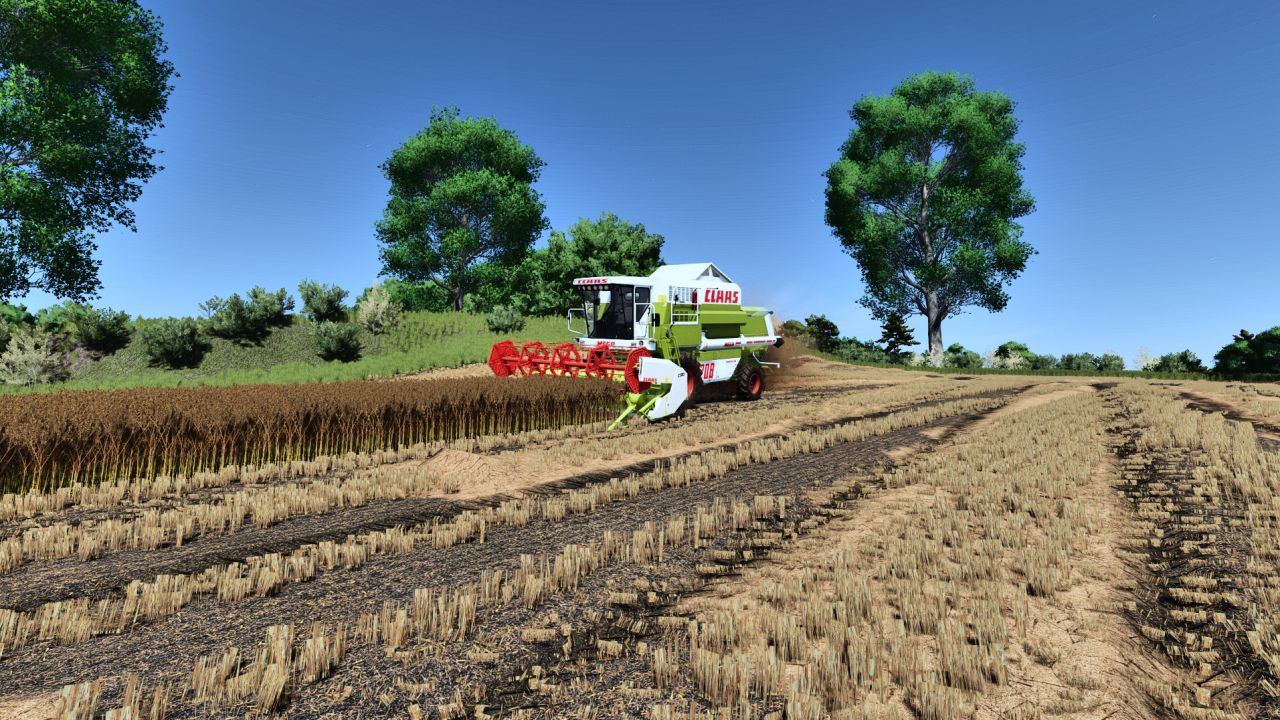 Fantastika FS25