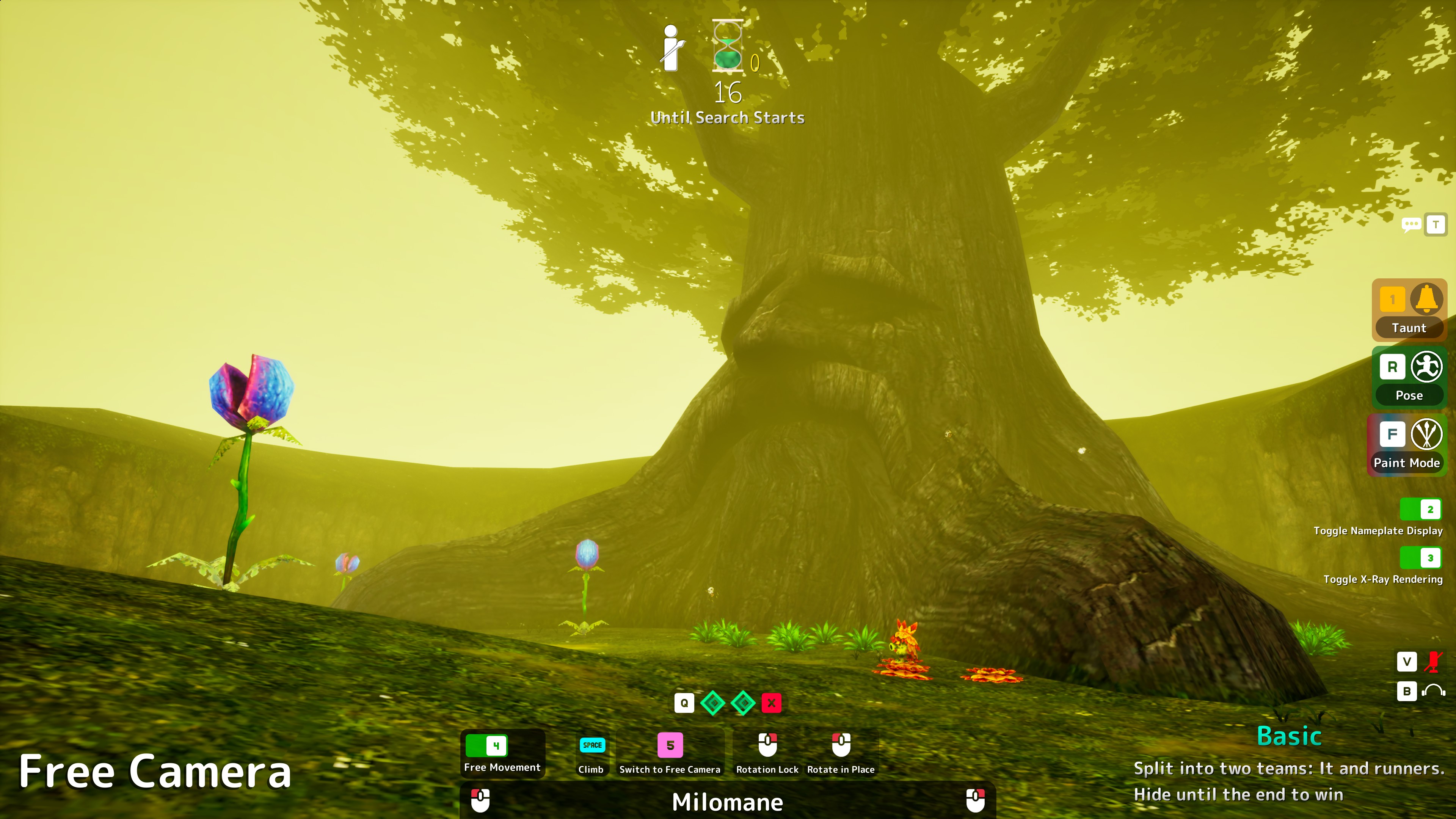 Image du mod